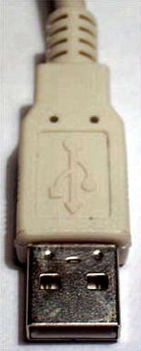 Conector USB tipo A macho